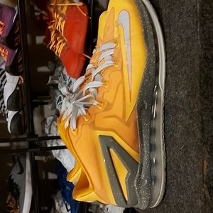 Nike Lebron 11 low Floridian basketball shoes